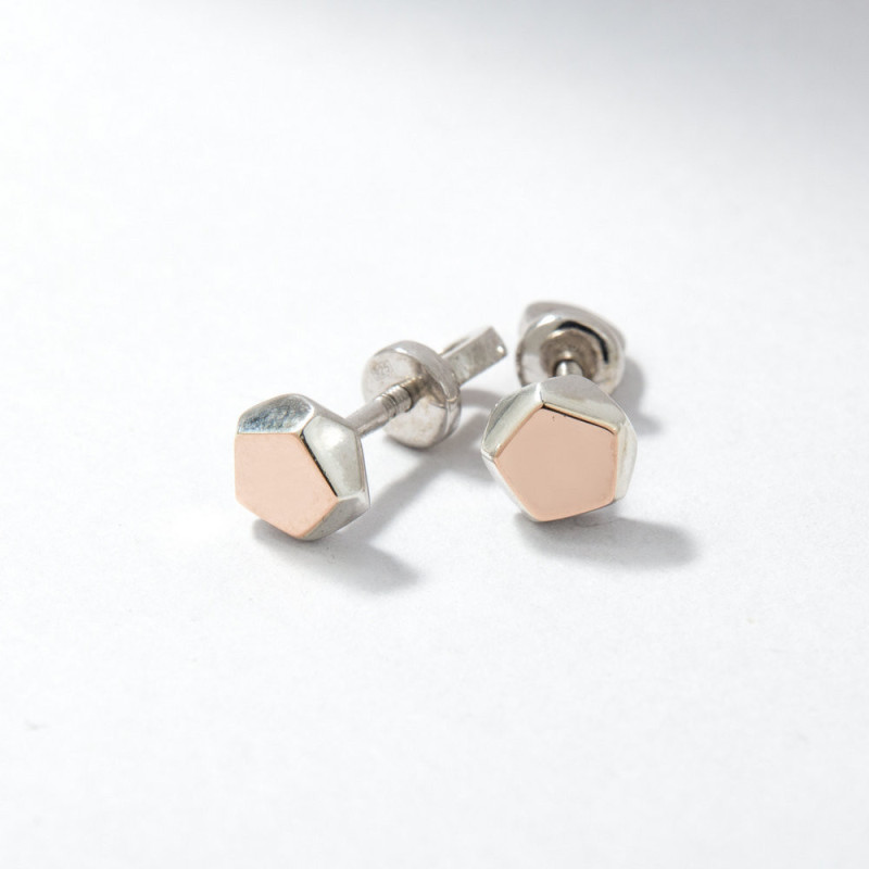 Silver earrings with inlays of gold Jamie