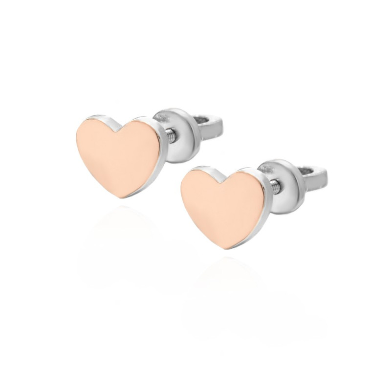 Silver earrings with inlays of gold Eris